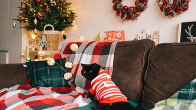 Photo of Как сделать атмосферу праздника