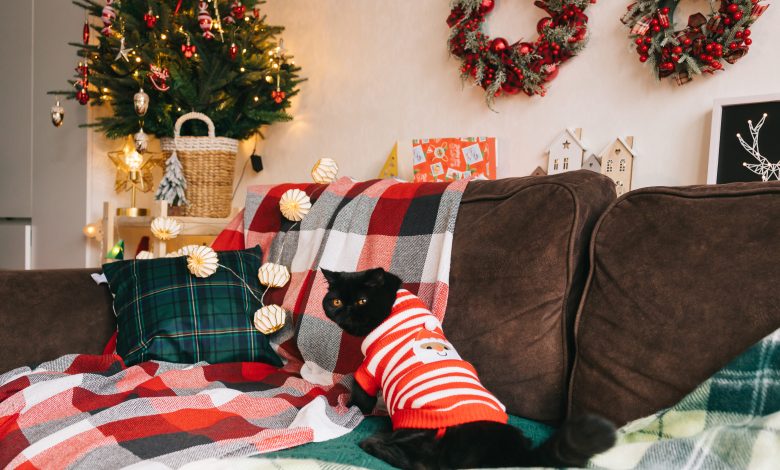 Photo of Как сделать атмосферу праздника